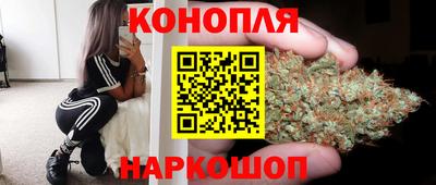 дурь Кингисепп