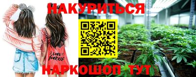 дурь Кингисепп