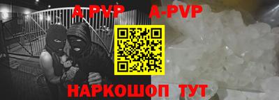 дурь Кингисепп