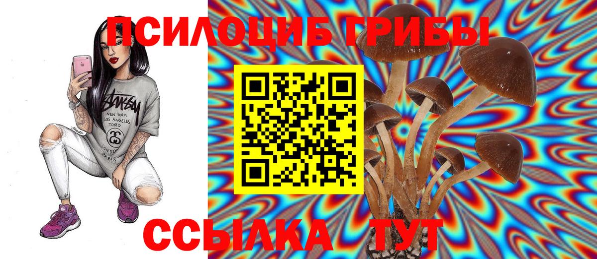 Псилоцибиновые грибы Psilocybe  Вход с VPN  Красноармейск 