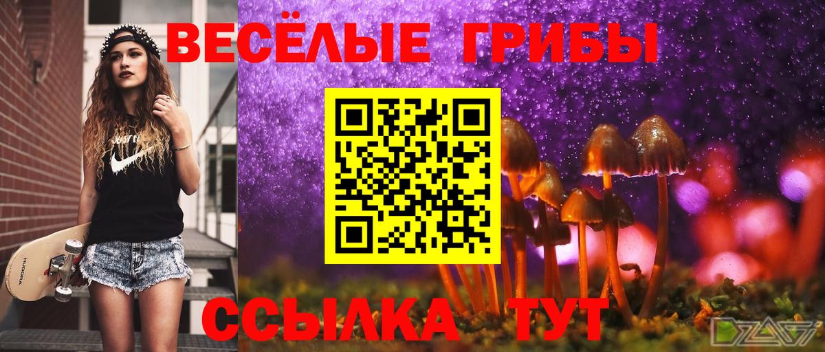 Галлюциногенные грибы Magic Shrooms Красноармейск