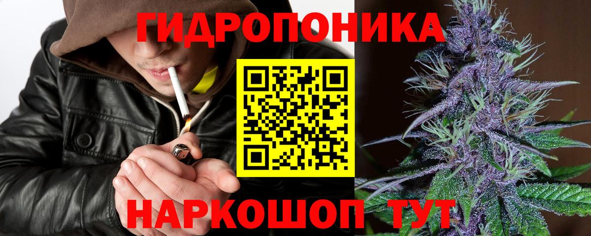 Бошки марихуана сатива Красноармейск